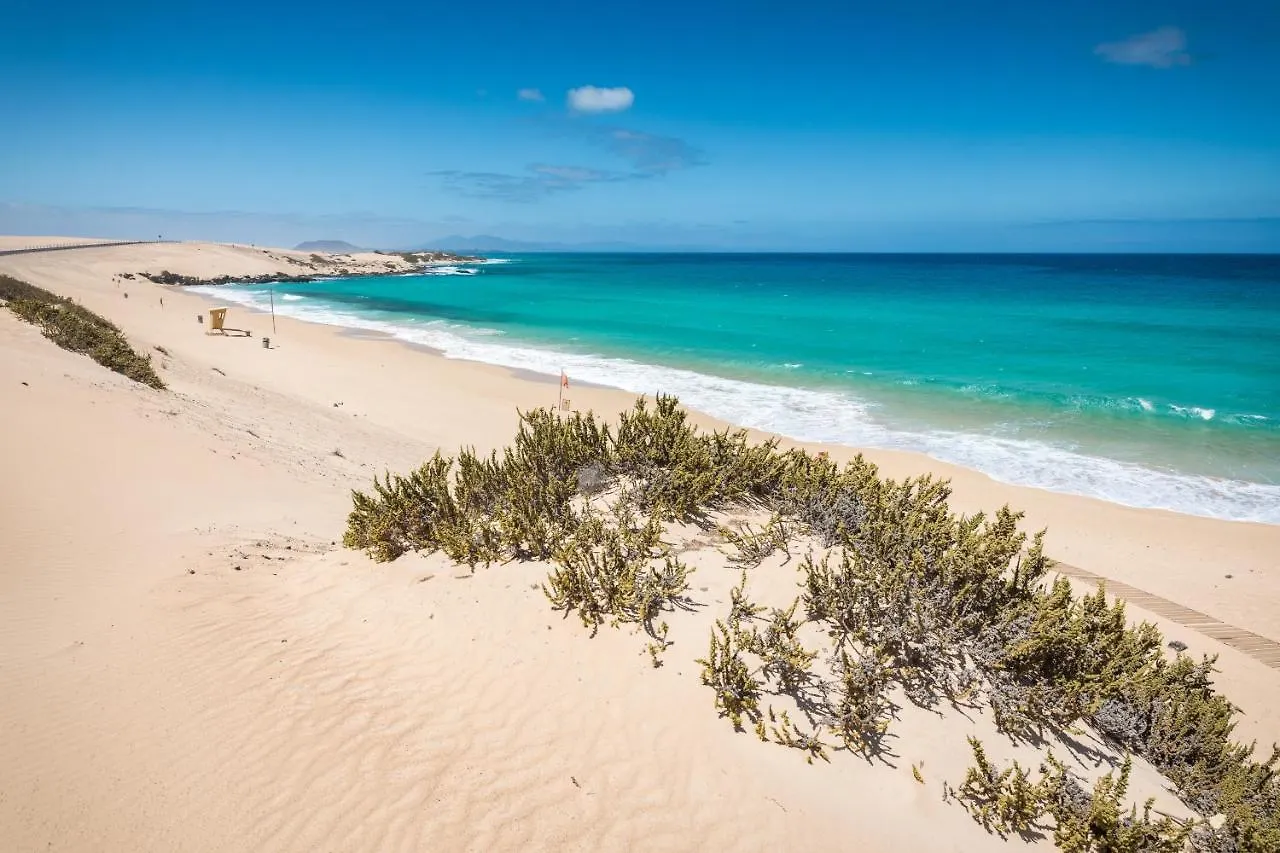 Home2Book Oasis Paradise Home Fuerteventura Corralejo Apartment